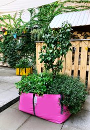 La Bolsa Verde M