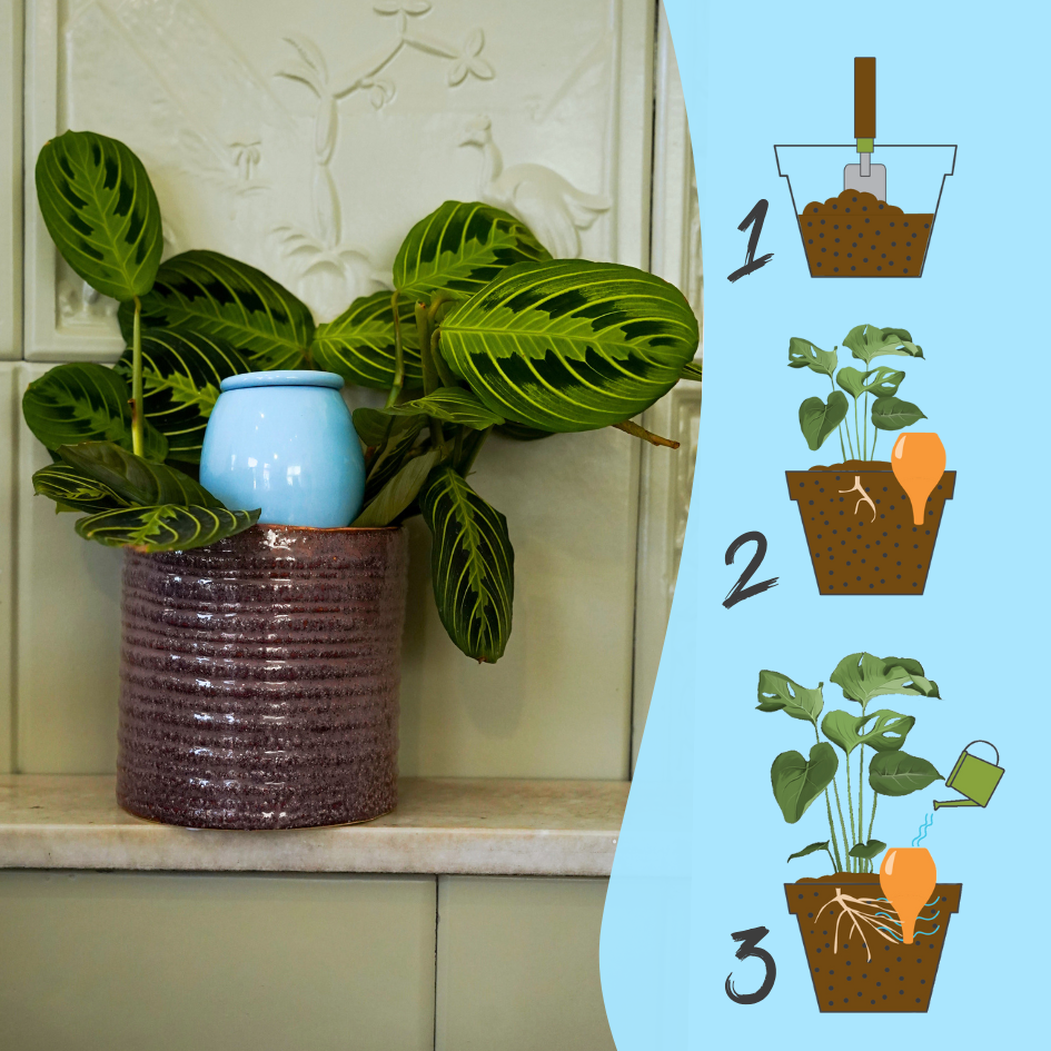 Olla self watering pot - Lutoya Medium Blue - 35 cl
