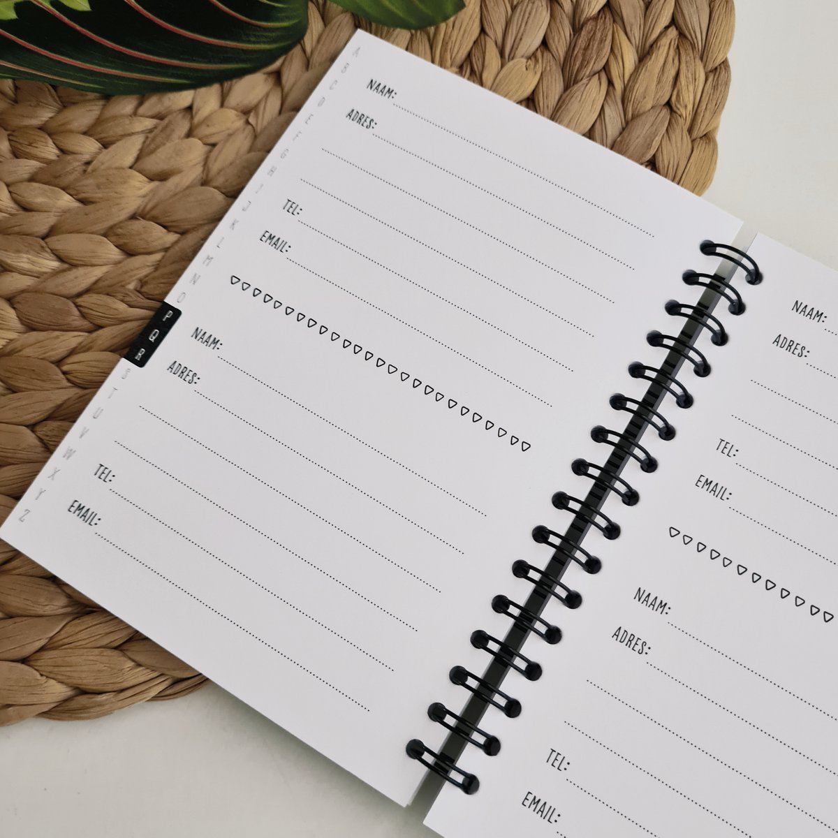 Address book | A6