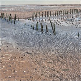 Mapping folder - Siemen Dijkstra, Waddenland