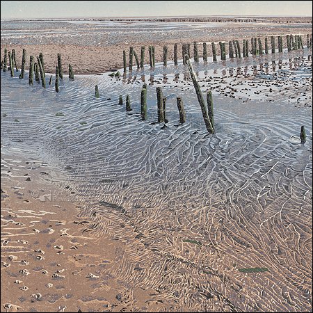 Mapping folder - Siemen Dijkstra, Waddenland