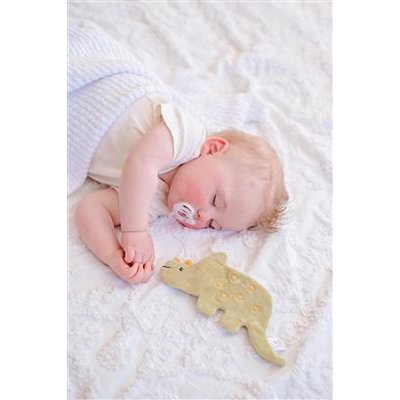 Crinkle-speelgoed - Triceratops