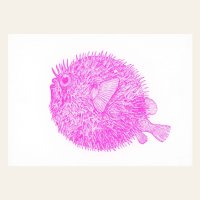 Risography postcard - hedgehogfish - DIN A6