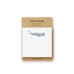 Sticky Whales | sperm whale