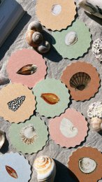 Coaster/Coaster 10 motifs shells - 12 sets