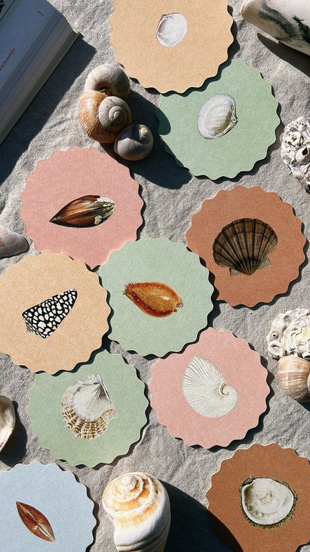 Coaster/Coaster 10 motifs shells - 12 sets