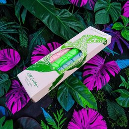 Wild Candles * Crocodile