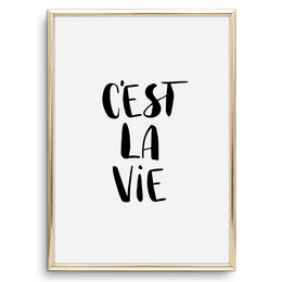 Poster: C'est la vie