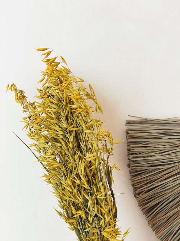 Avena Gelbe Trockenblumen