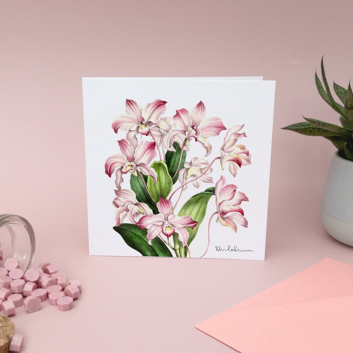 Cartes de vœux - Mélange fait main avec enveloppe - Botanical Vintage