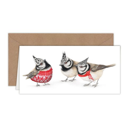 Kerstkaart, vogelvakantiekaart, dierenwenskaarten