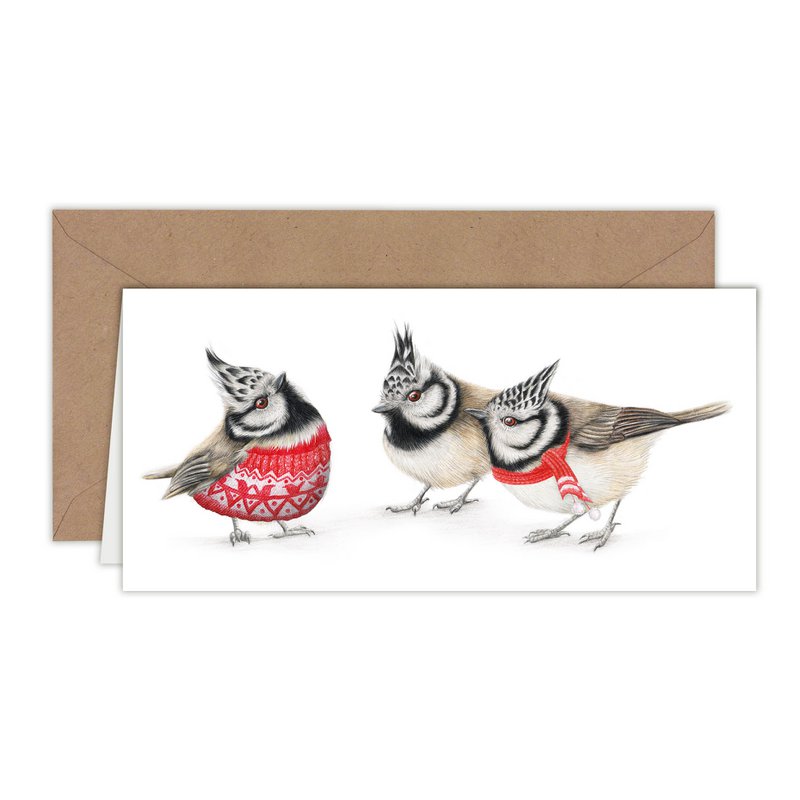 Tarjeta de Navidad, Tarjeta navideña de pájaros, Tarjetas de felicitación de animales