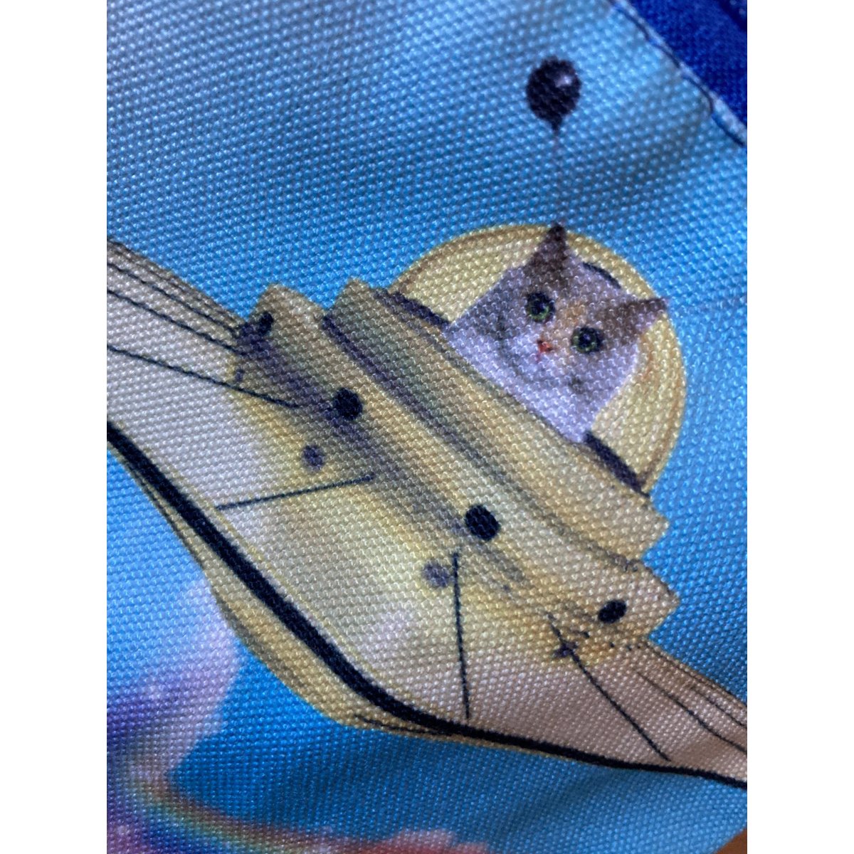 Etui - Poes in ruimteschip / Ufo