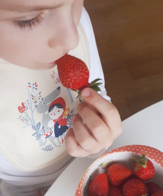 Natuurlijke slabbetje Red Riding Hood 100% biologisch katoen gecertificeerd OEKO-TEX