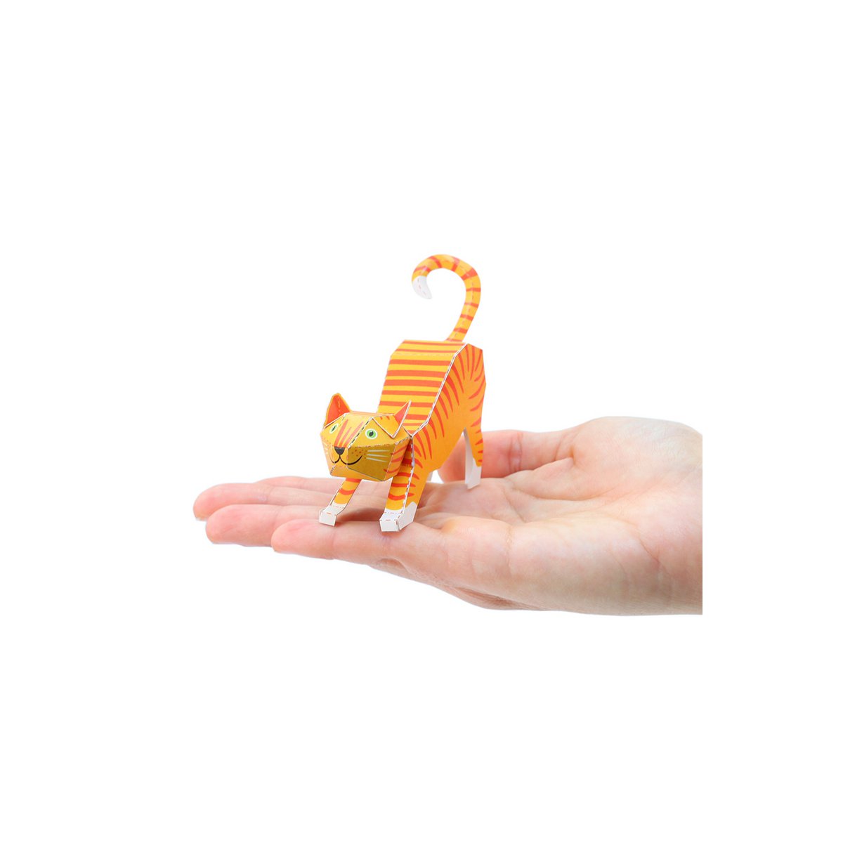 Stretching Cat Postcard