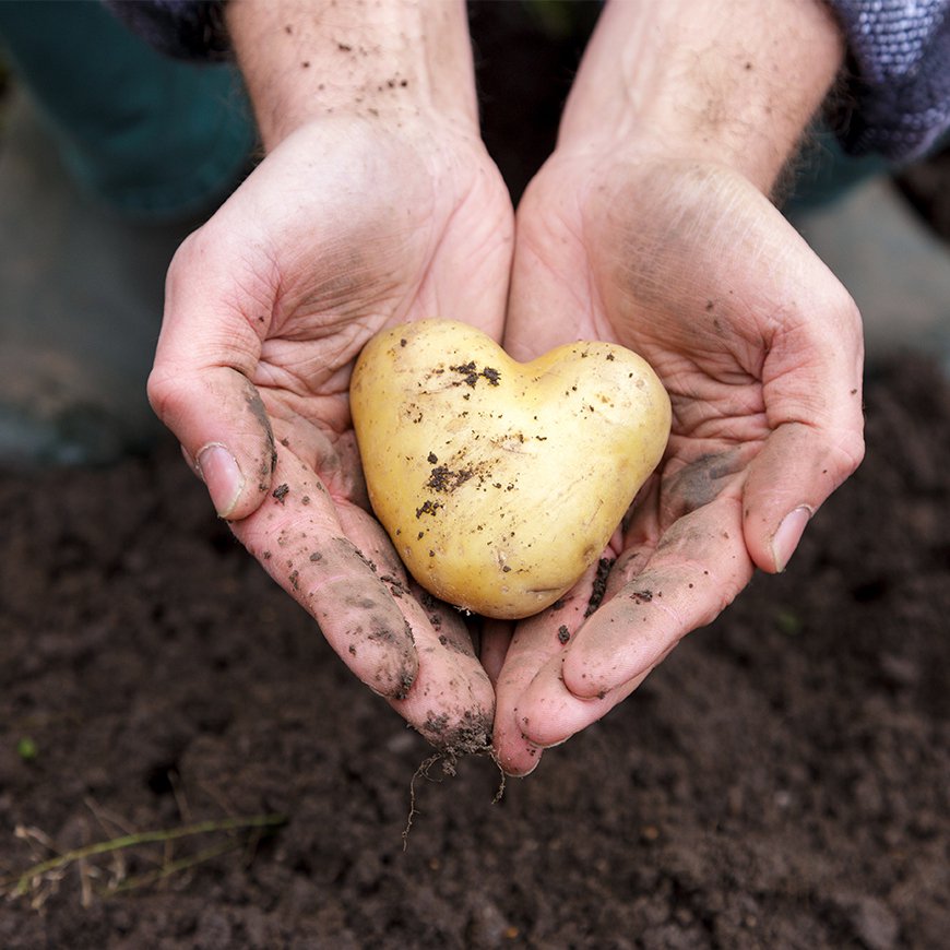 John & John Chips Crisps Gemüse Mixed Roots 40g Tüte