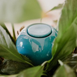 Mini Ollas zum Pflanzen