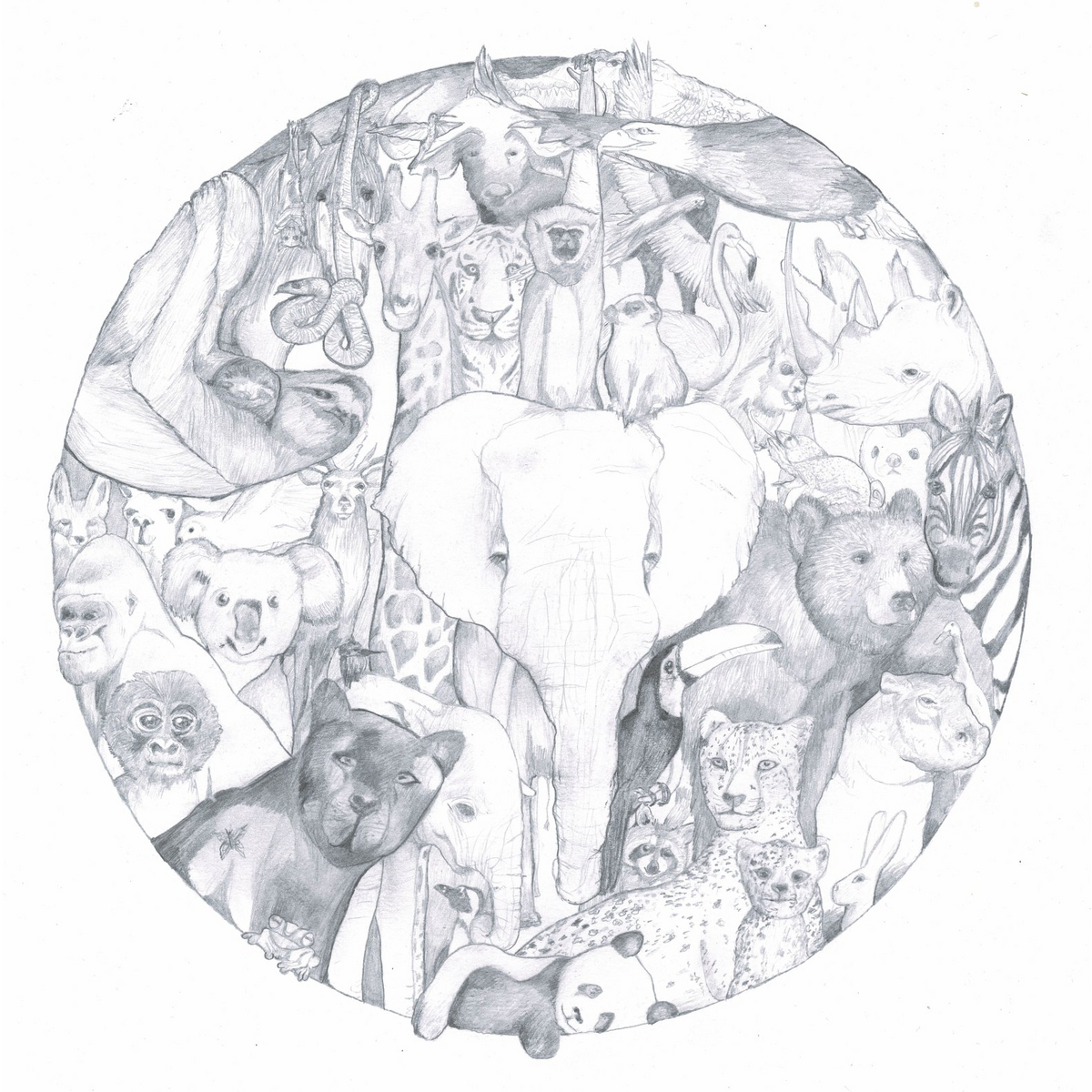 Yet Visser wallpaper circle Jungle animals (can be colored) 100 cm removable SUSTAINABLE