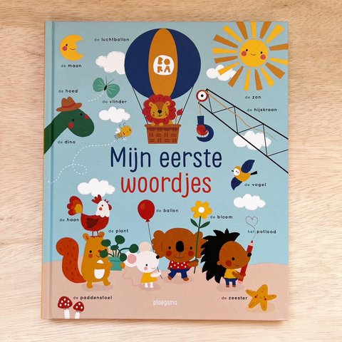 My first words (large vocabulary search book)