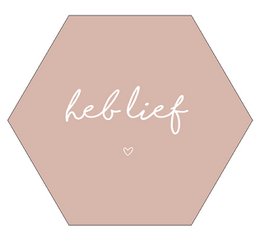 Wall hexagon love old rose