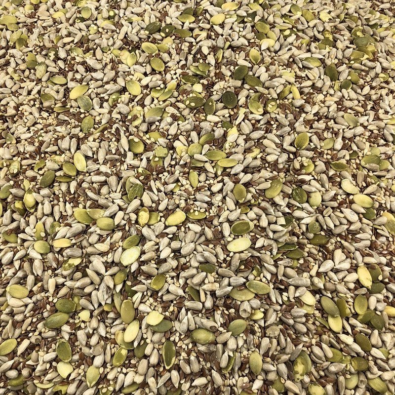 Bulk økologisk frøsalatblanding