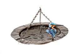 METALEN IJSVOGEL HANGENDE PLAAT FEEDER