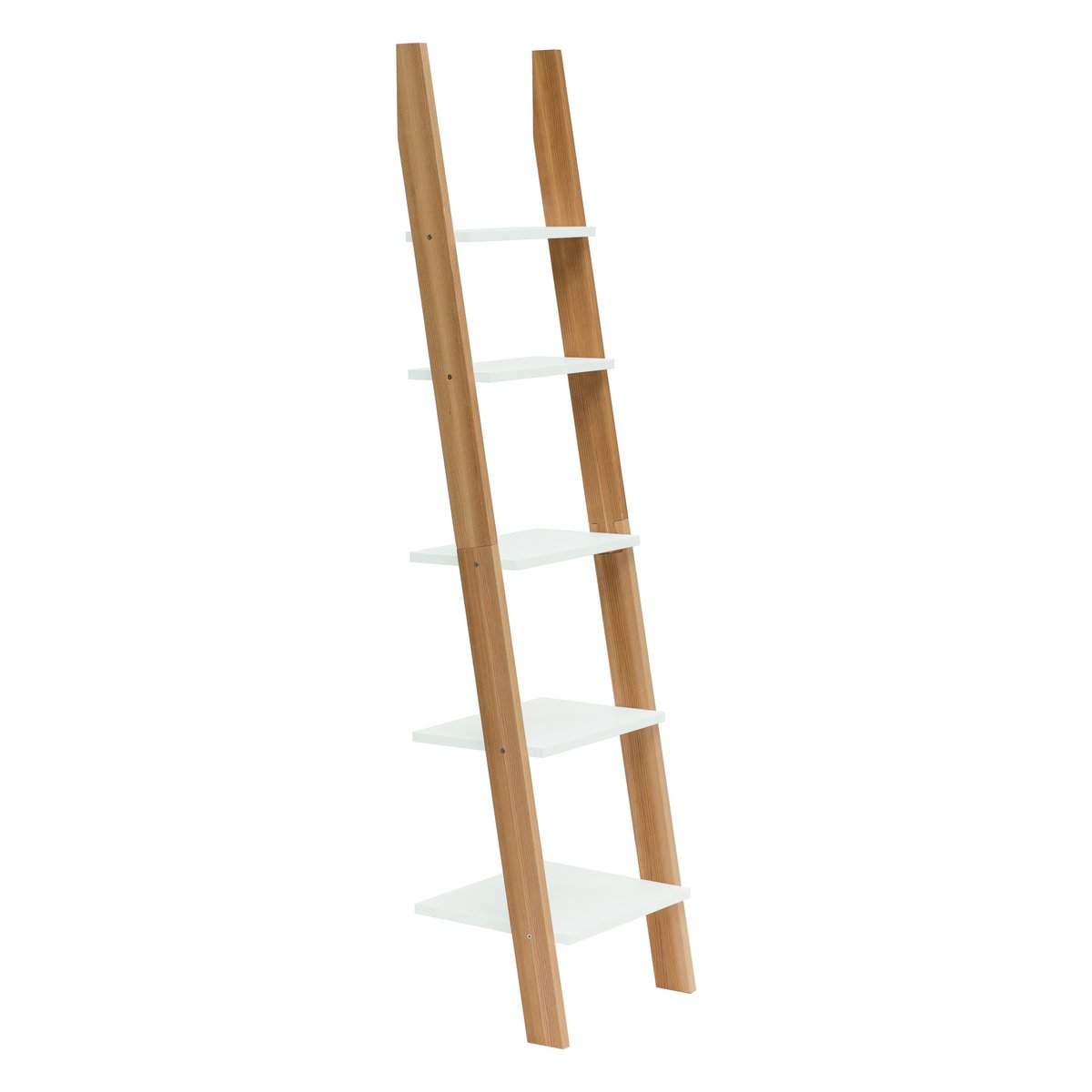 ASHME Laddershelf
