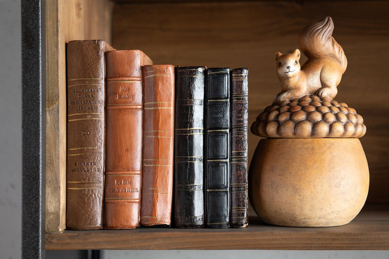 J -Line Decoration Books - Polyresin - Brown - Large