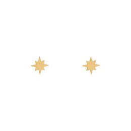 STUD OORBELLEN NOORDSTAR