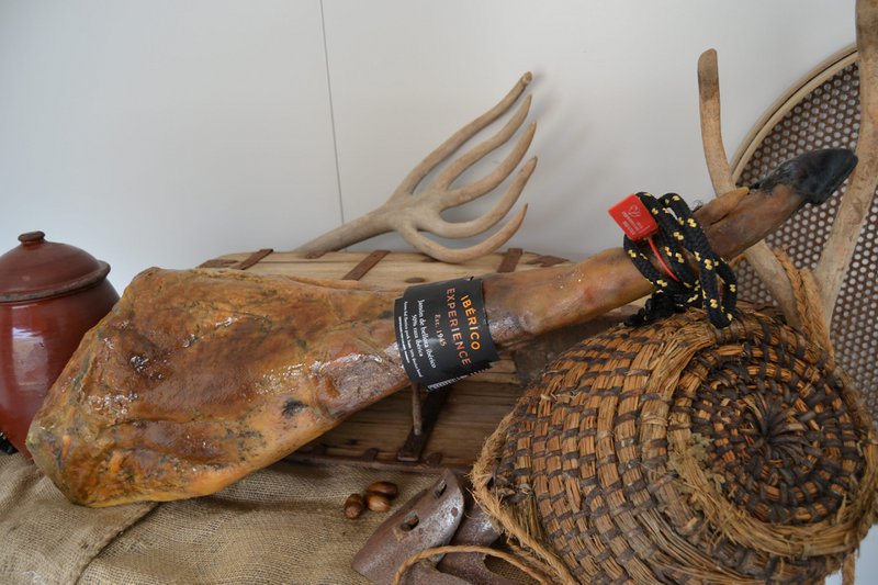 Fellota Ham 50% iberian (8-8,5 kg)