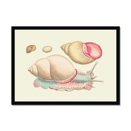 Whimsical illustration of a snail shell wall art, featuring a soft, pastel-colored snail shell with a pink shell and blue accents. The image suggests a playful, decorative style suitable for a variety of home decor settings.