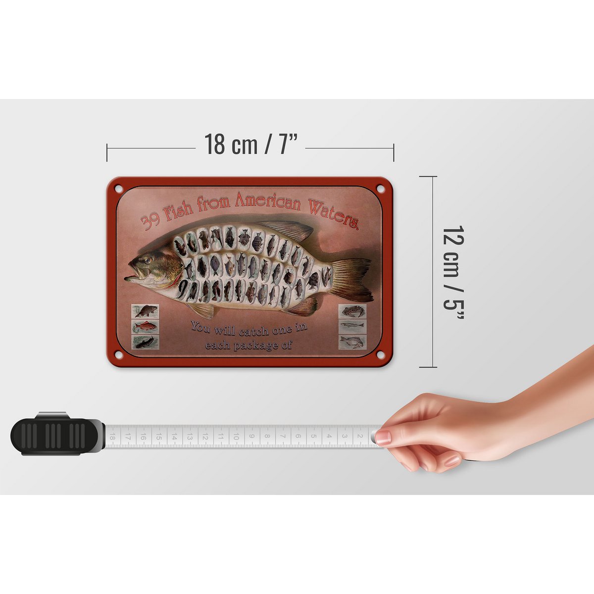 Tin Sign Fish 18x12cm 39 Fish from American Waters Decoration