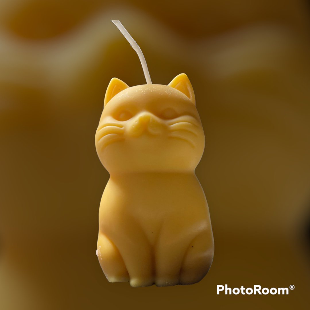 Meow! Bring me Home! Adorable Kitten Candle