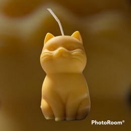 ¡Maullar! ¡Llévame a casa! Vela Gatito Adorable