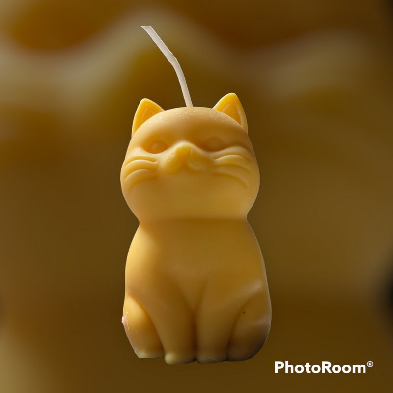 ¡Maullar! ¡Llévame a casa! Vela Gatito Adorable