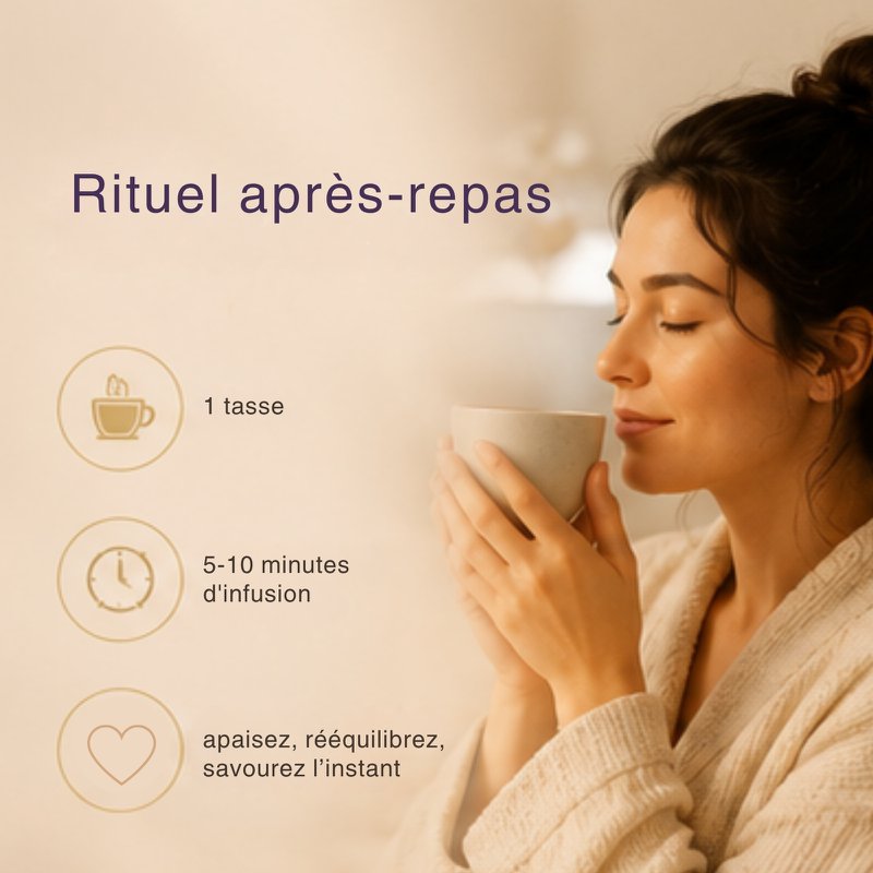 Klassischer Bio-Chai-Kräutertee ohne Koffein – Großzügiger und ausgewogener Aufguss – Moment der Entspannung und Stabilität – Ideal nach den Mahlzeiten