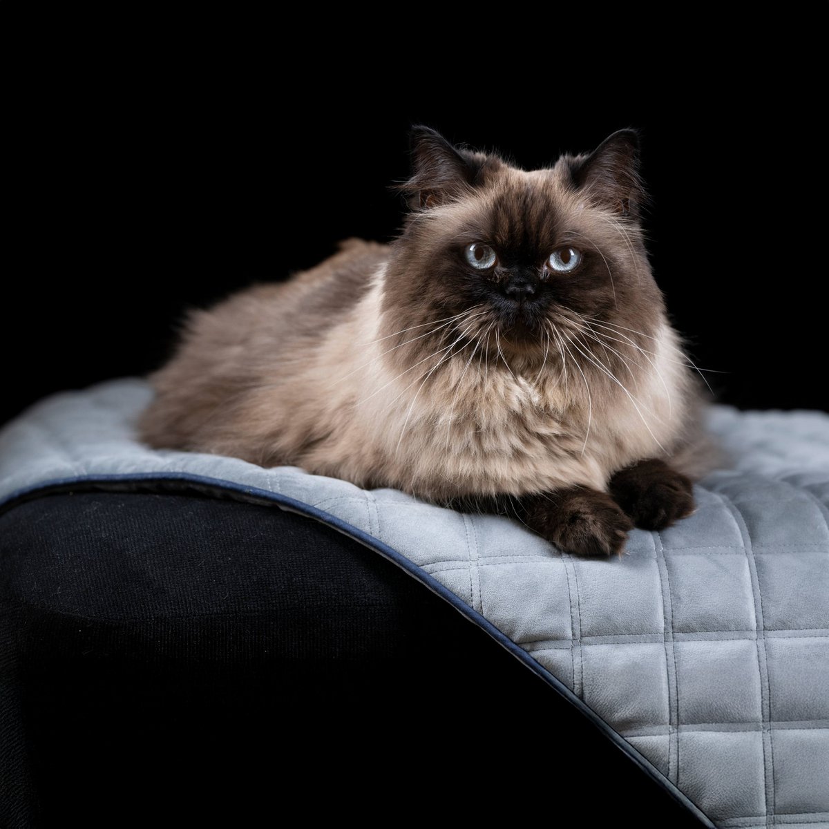 Coperta in velluto OXFORD per cani