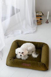 MONOLITH Samt-Hundebett mit abnehmbarer Matratze