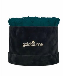 Velvet Black Collection