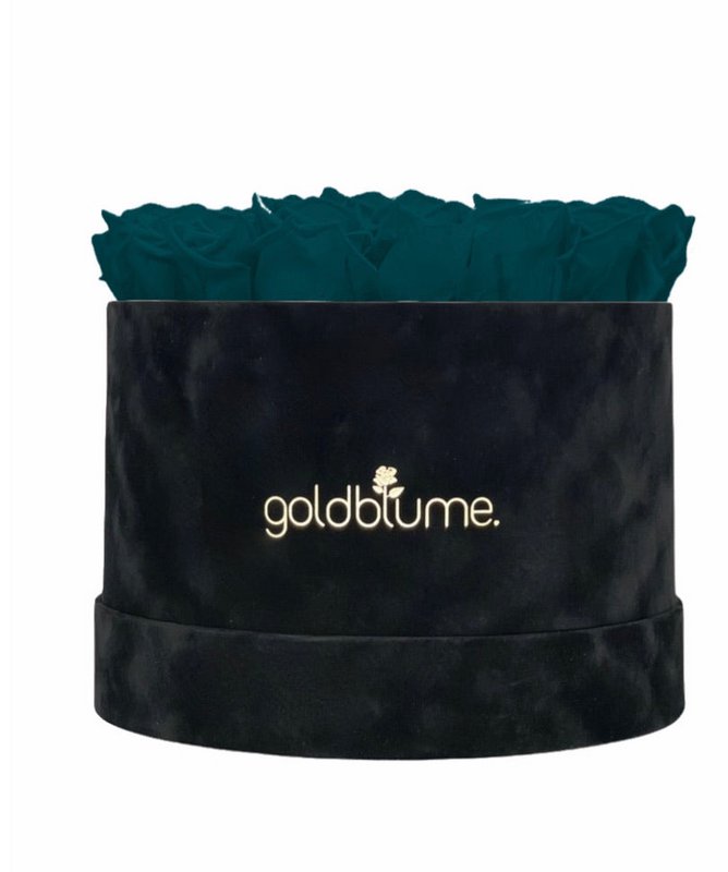 Velvet Black Collection