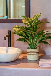 Kunstplant Evergreen Groen