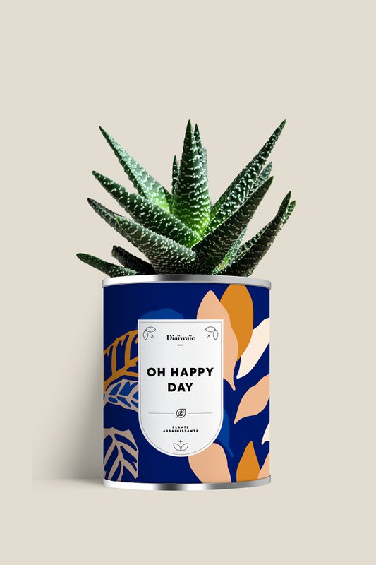 OH HAPPY DAY - Large model