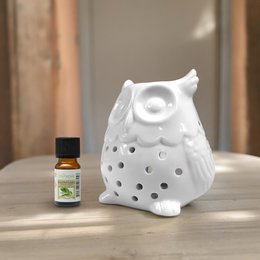 Quemador de Perfume - Búho - Diseño y Moderno - Portavelas Ceras Perfumadas, Aceites Esenciales - Accesorio Decorativo Aromaterapia