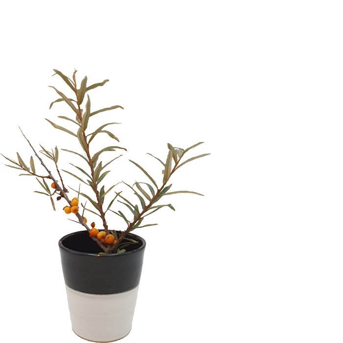 Mug bicolore noir et blanc 200-045