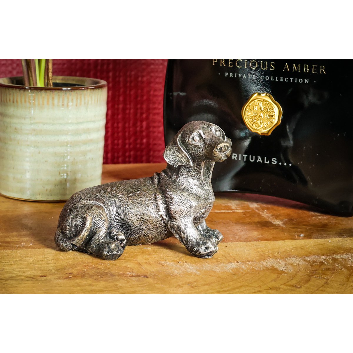 Dachshund