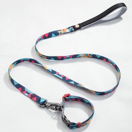 Laisse pour Chien Multicolore - 0202-3