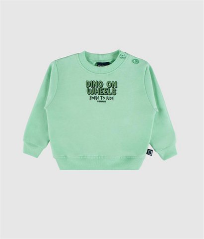 Dino op wielen Sweatshirt