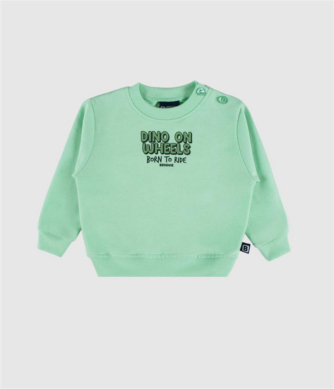 Dino On Wheels Sweatshirt 