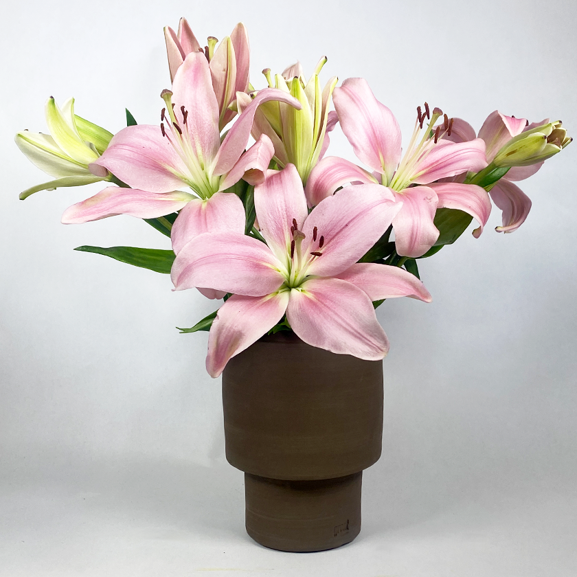 Banzai Vase Naked | Keramik | Plantepotte | Wabi Sabi | Ler