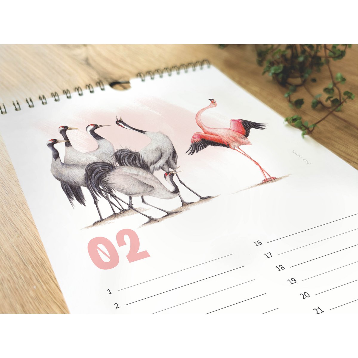 Dyrefødselsdagskalender, evighedskalender, miljøvenlig